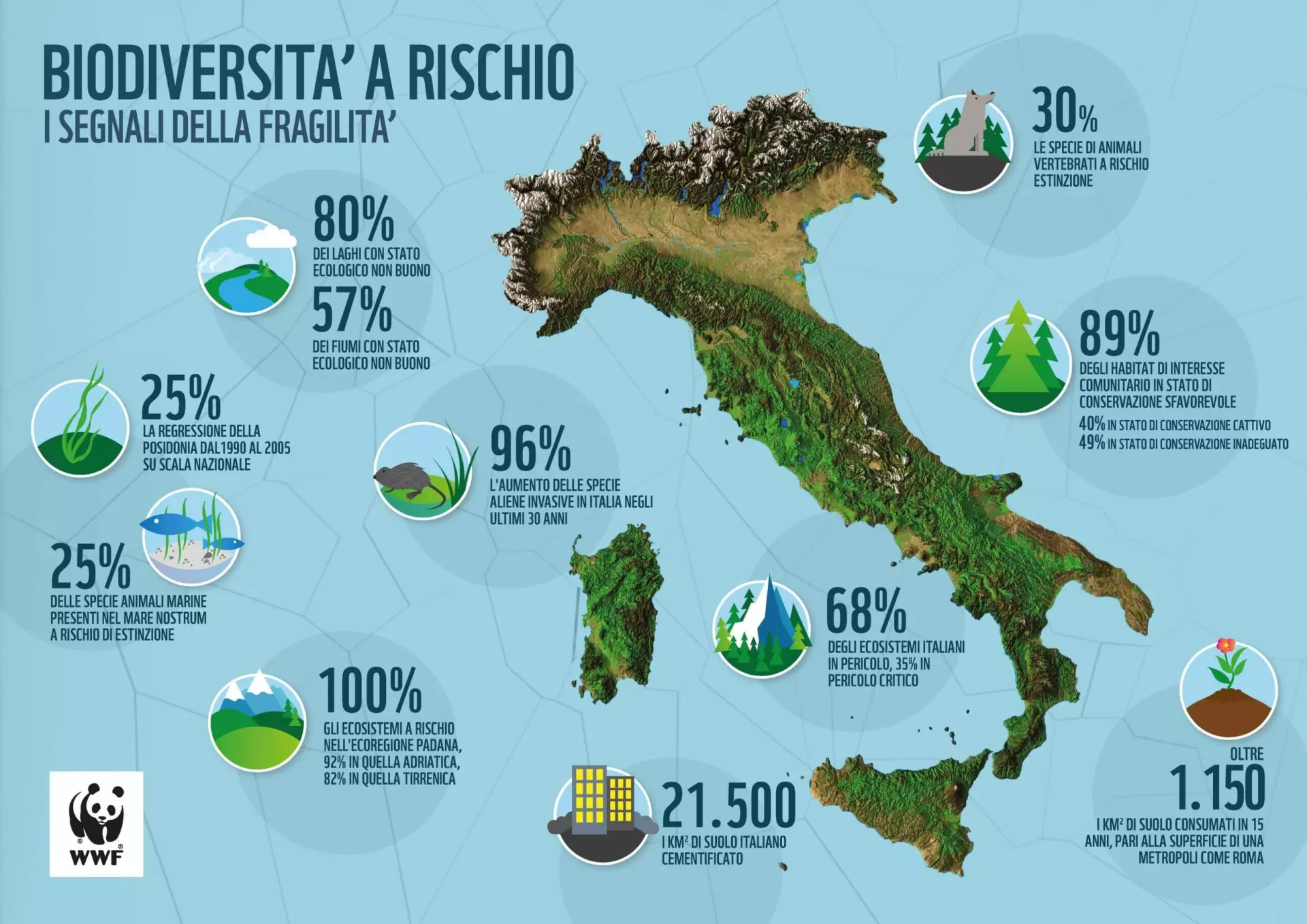 Info grafica sulla biodiversità in Italia e i segnali che ci sta mandando