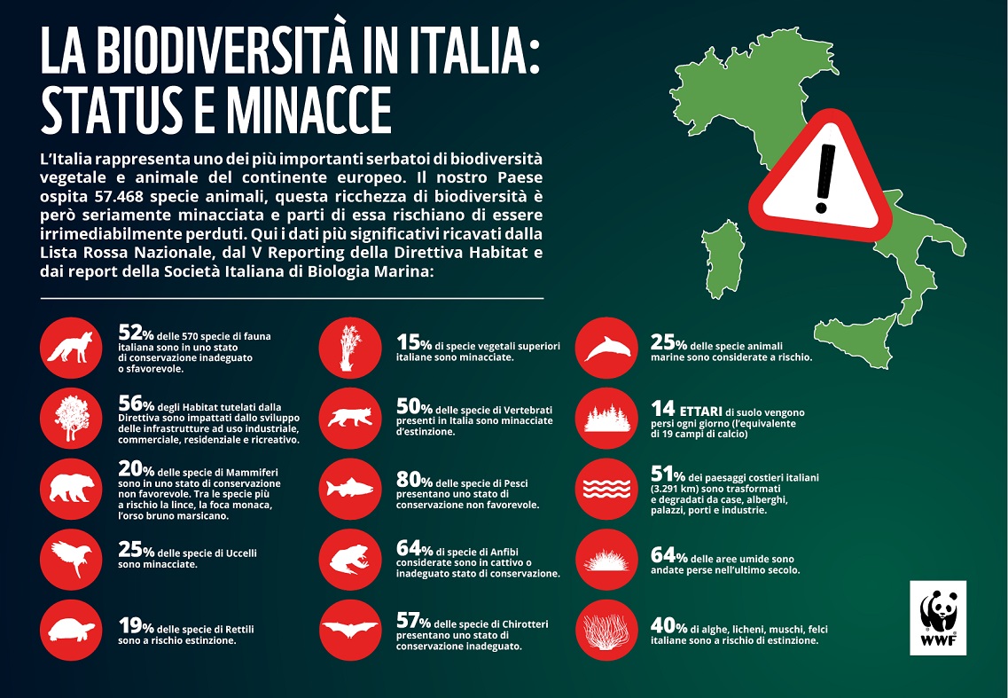 Info grafica sulla biodiversità in Italia e la minaccia che sta subendo negli ultimi anni