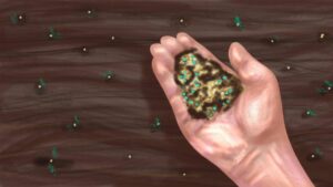 Immagine di una mano contenente semi, terreno, e concime per seminare il prato