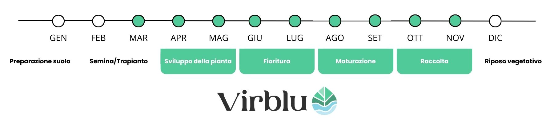 Periodo di utilizzo del Citrus Organico il concime organico per agrumi