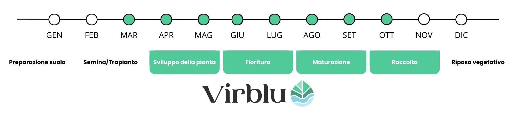 Periodo di utilizzo del Citrus un concime pronto effetto specifico per agrumi