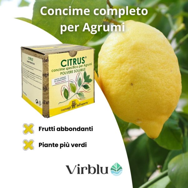 I principali vantaggi del Citrus il concime pronto effetto specifico per agrumi
