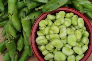 Come seminare le fave per ottenere delle fave verdi da mangiare
