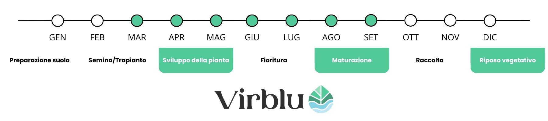 Periodo di utilizzo Arancioil VIRBLU