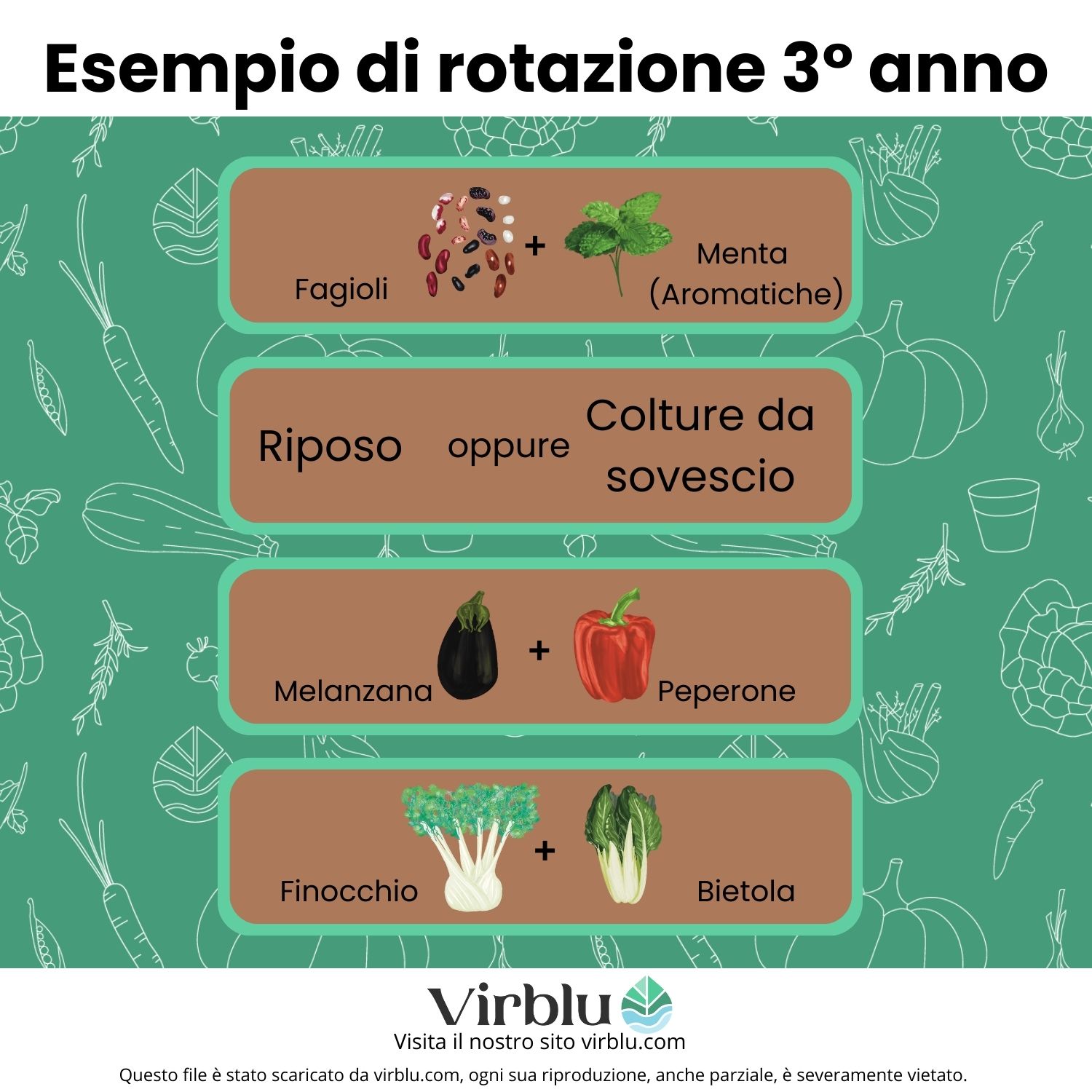 Esempio di rotazione delle colture nel terzo anno VIRBLU.