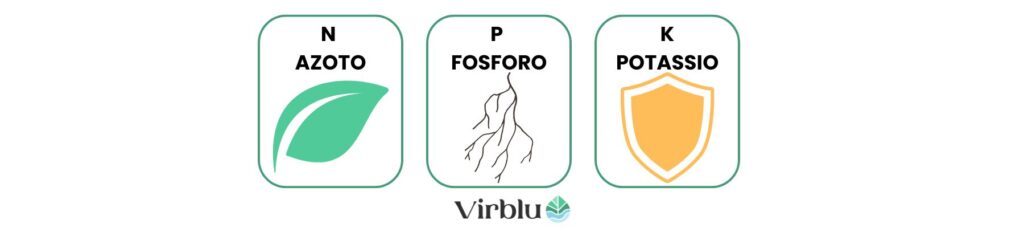 Le funzioni principali dei macroelementi nel prato
