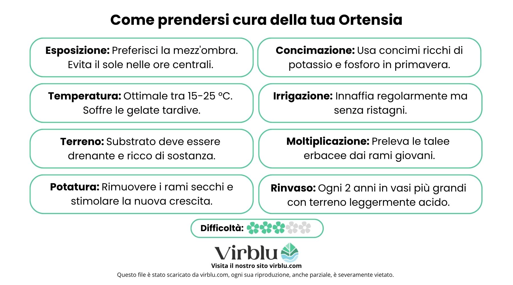 Infografica che racchiuse tutte le operazioni principali per coltivare le ortensie