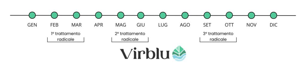 Periodo migliore per trattare il tuo prato con Tryko Plus il fungicida biologico per eliminare feltro e funghi nel prato