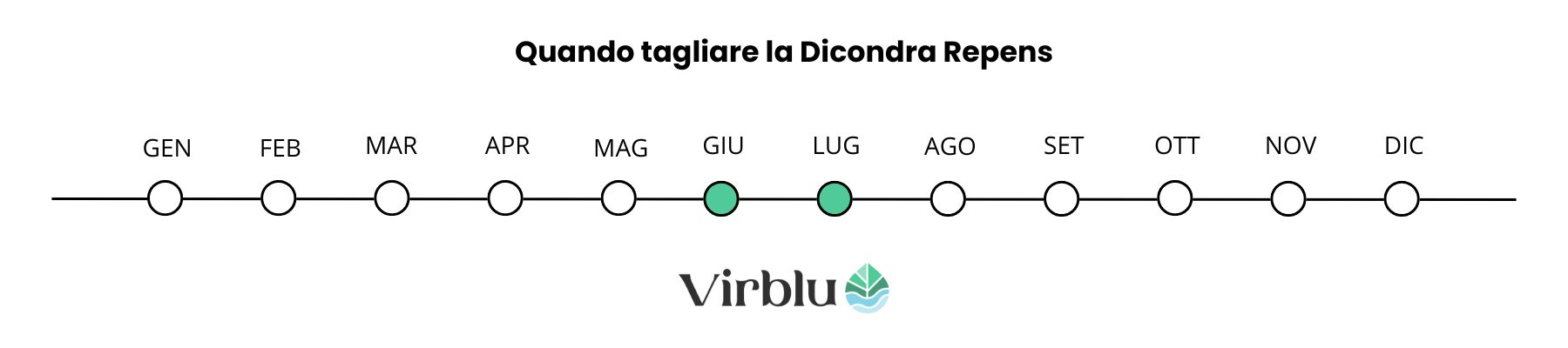 Quando tagliare il prato in Dicondra VIRBLU
