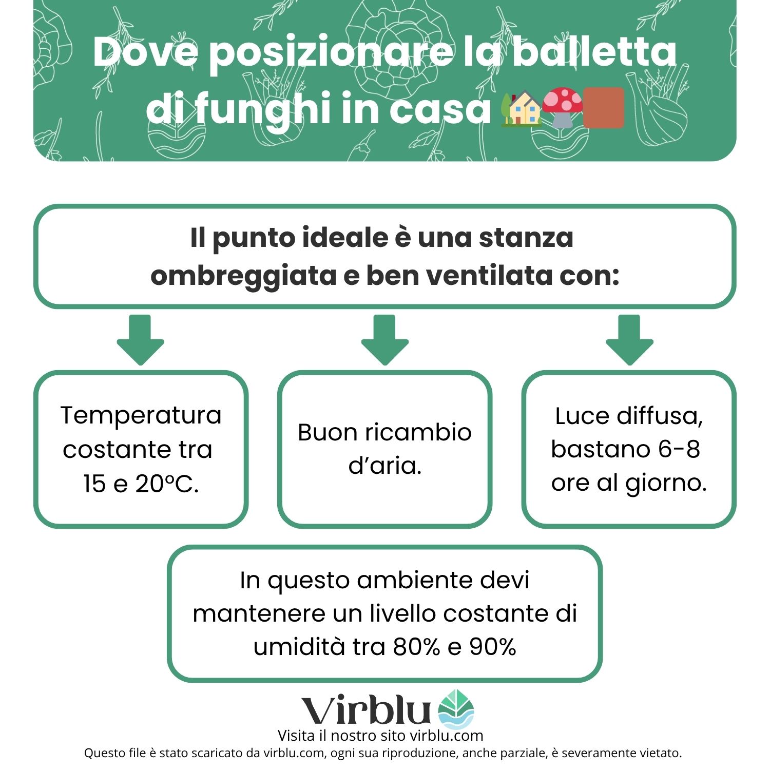 Infografica su dove posizionare la balletta di funghi per coltivare i cardoncelli in casa VIRBLU