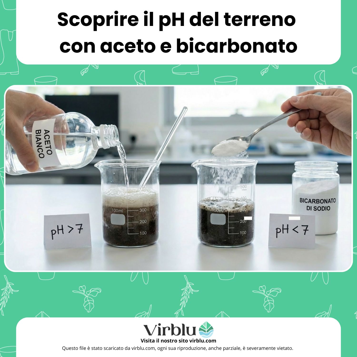 Metodo per riconoscere il pH del terreno direttamente a casa con aceto e bicarbonato di sodio VIRBLU